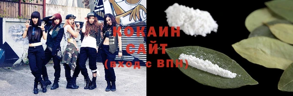 гашик Новодвинск