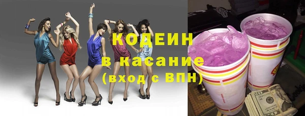 хмурый Нея