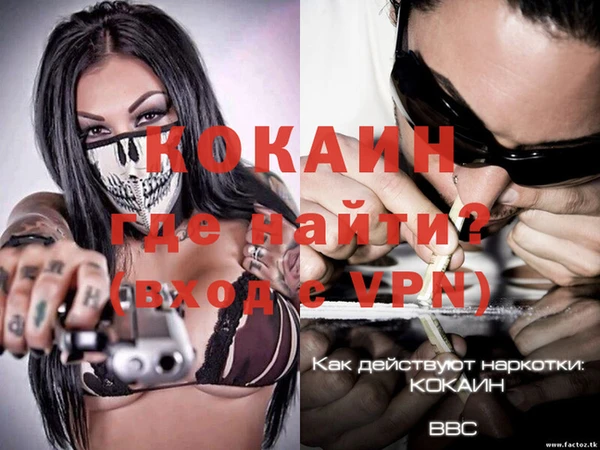 гашик Новодвинск