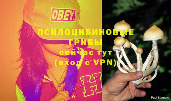 кокаин Новозыбков