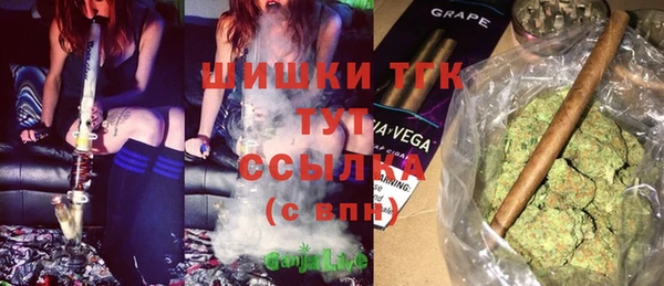 хмурый Нея