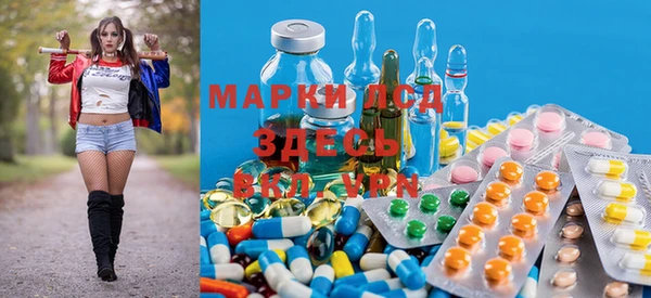 хмурый Нея