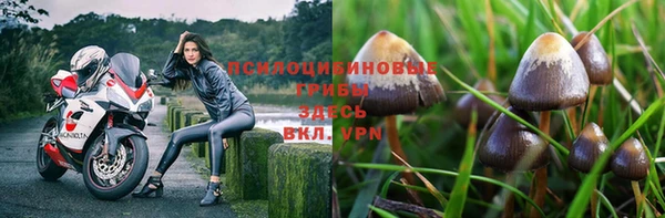 кокаин Новозыбков